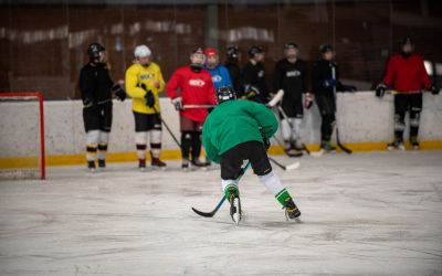 Apel Saveza hokeja na ledu Srbije klubovima za ažuriranje informacija o igračima